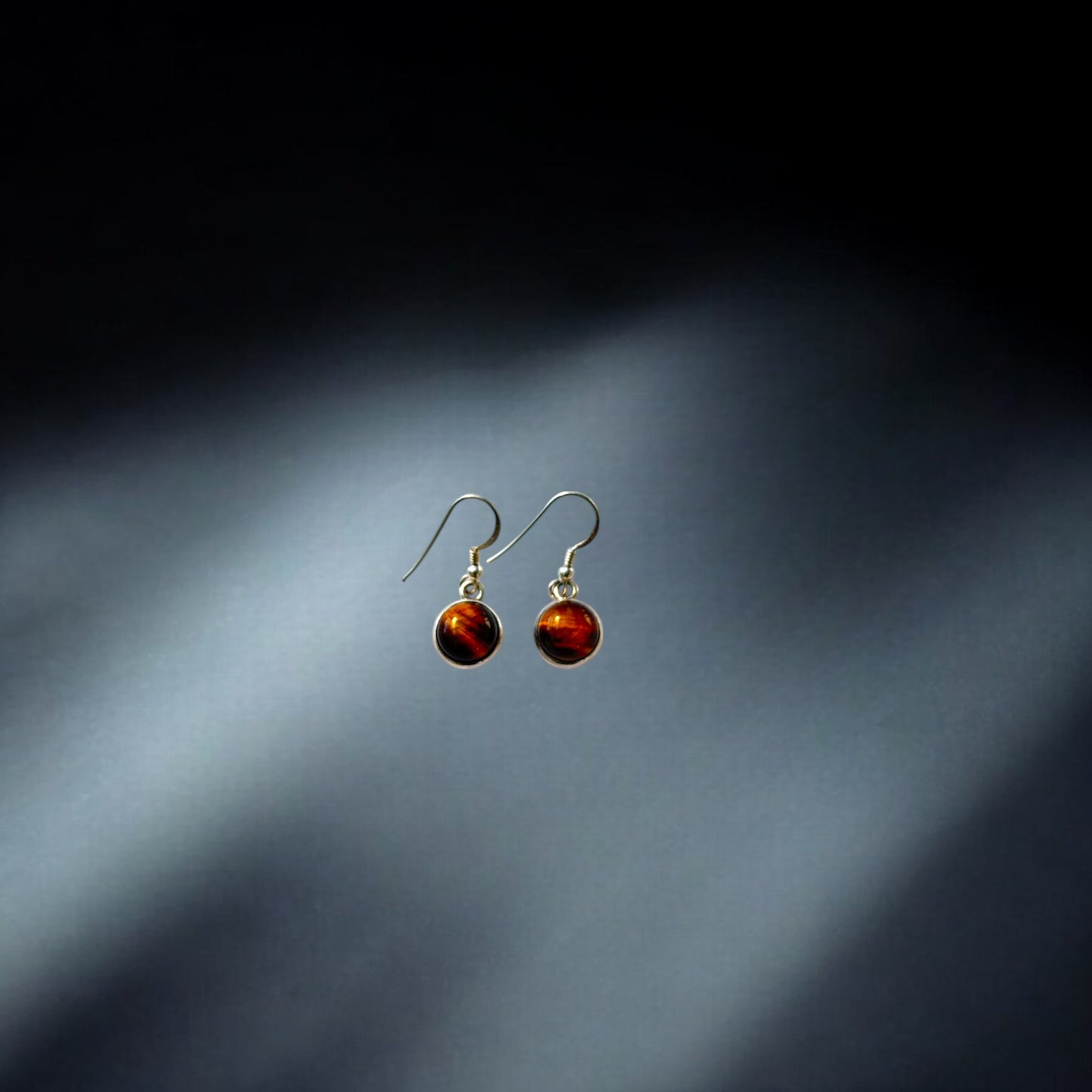 Silver Earrings - Tiger Eye