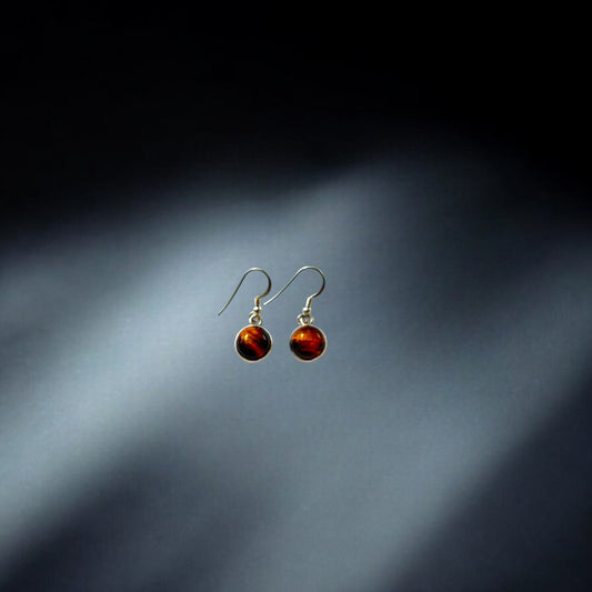 Silver Earrings - Tiger Eye