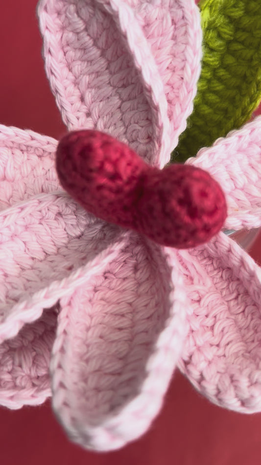 Crochet - Magnolia Vase